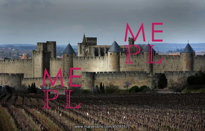 : Carcassonne : Carcassonne