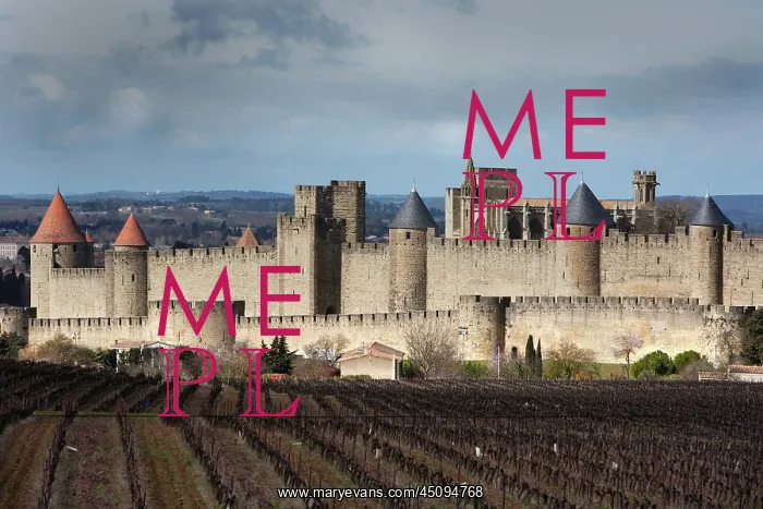 : Carcassonne : Carcassonne