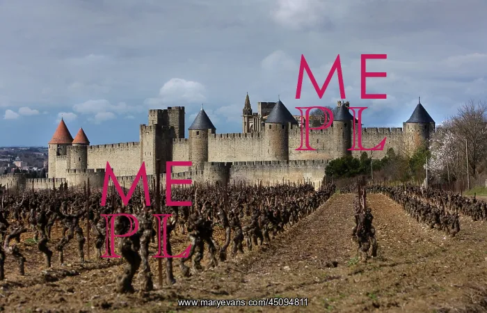 : Carcassonne : Carcassonne