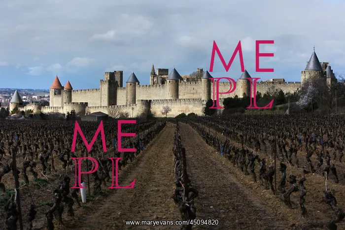: Carcassonne : Carcassonne