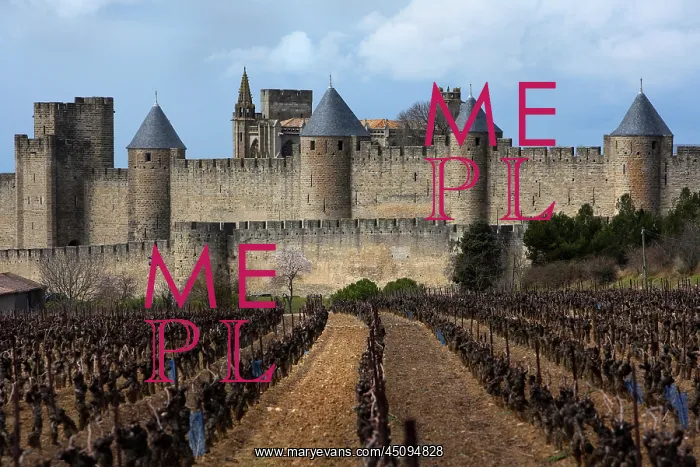 : Carcassonne : Carcassonne