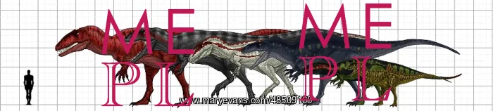 : Carcharodontosauridae size chart : Carcharodontosauridae size chart