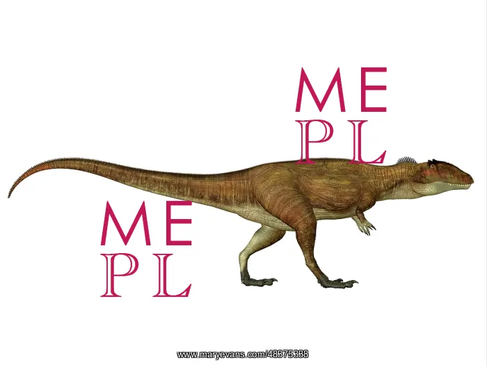 : Carcharodontosaurus dinosaur, side view : Carcharodontosaurus dinosaur, side view