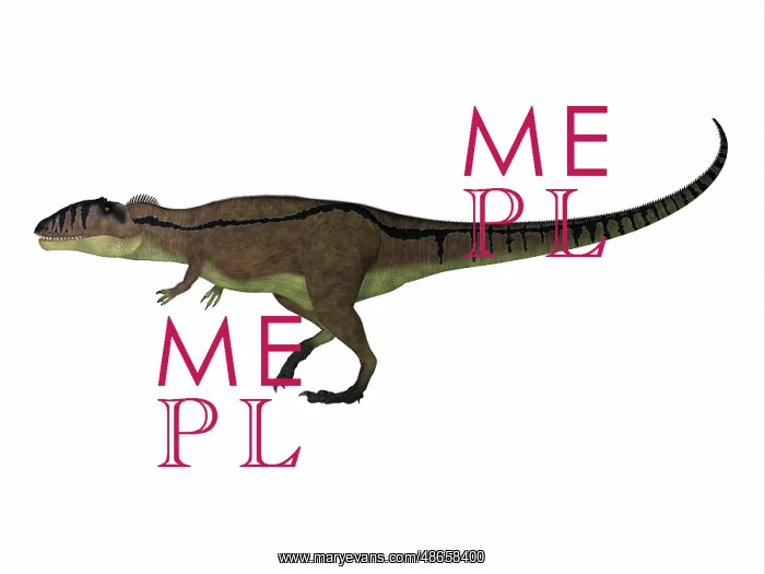 : Carcharodontosaurus dinosaur, side view on white background : Carcharodontosaurus dinosaur, side view on white background