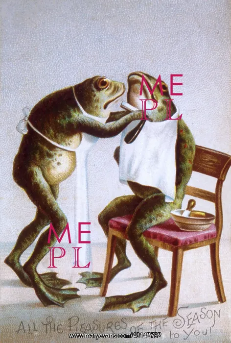 : CARD ; FROGS SHAVING : CARD ; FROGS SHAVING