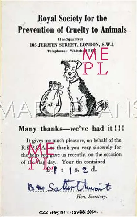 : CARD FOR MONEY COLLECTED : CARD FOR MONEY COLLECTED