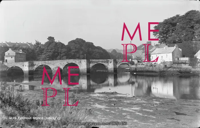 : Cardigan Bridge : Cardigan Bridge