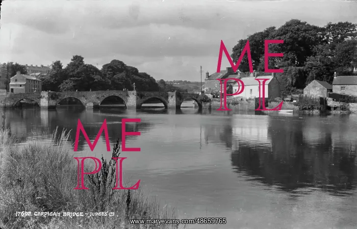 : Cardigan Bridge : Cardigan Bridge