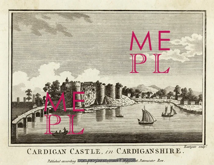 : CARDIGAN CASTLE / WALES : CARDIGAN CASTLE / WALES
