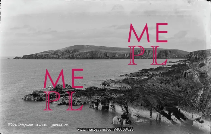 : Cardigan Island : Cardigan Island