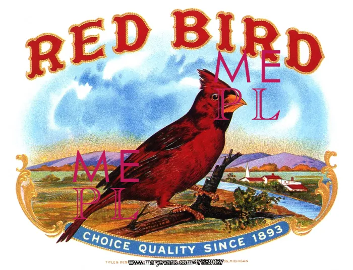  : Cardinal