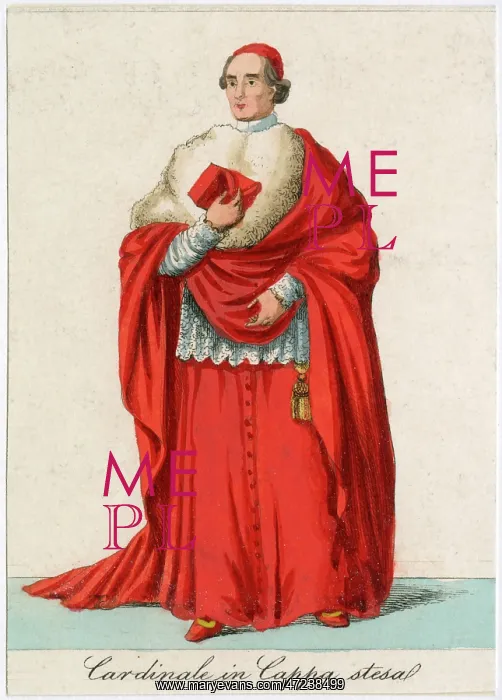  : Cardinal Coppa Stesa