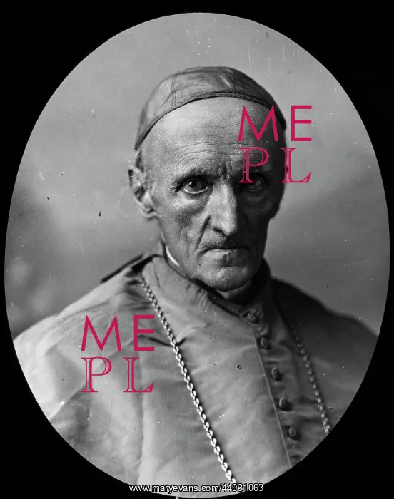 : Cardinal Henry Edward Manning : Cardinal Henry Edward Manning