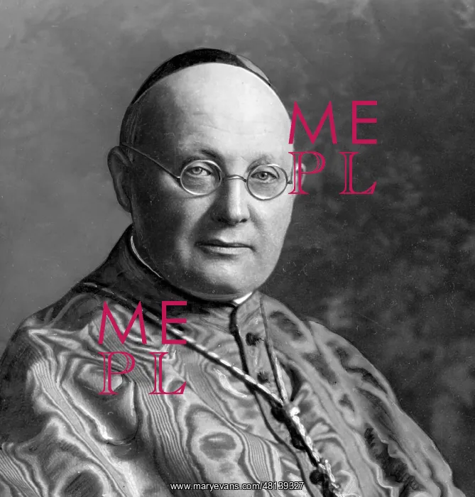 : Cardinal Karl Joseph Schulte : Cardinal Karl Joseph Schulte