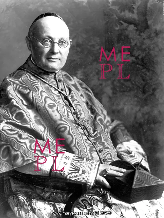 : Cardinal Karl Joseph Schulte : Cardinal Karl Joseph Schulte