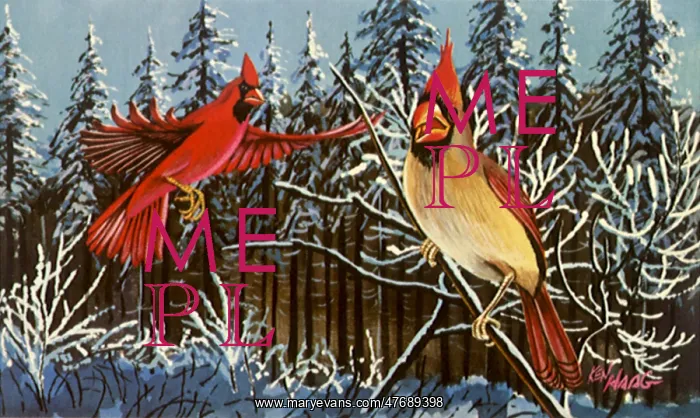  : Cardinals in Flight