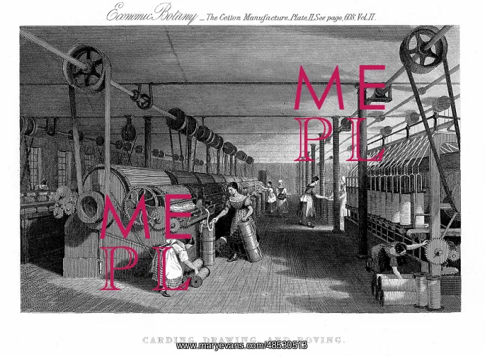 : Carding, drawing and roving cotton. Carding engine : Carding, drawing and roving cotton. Carding engine