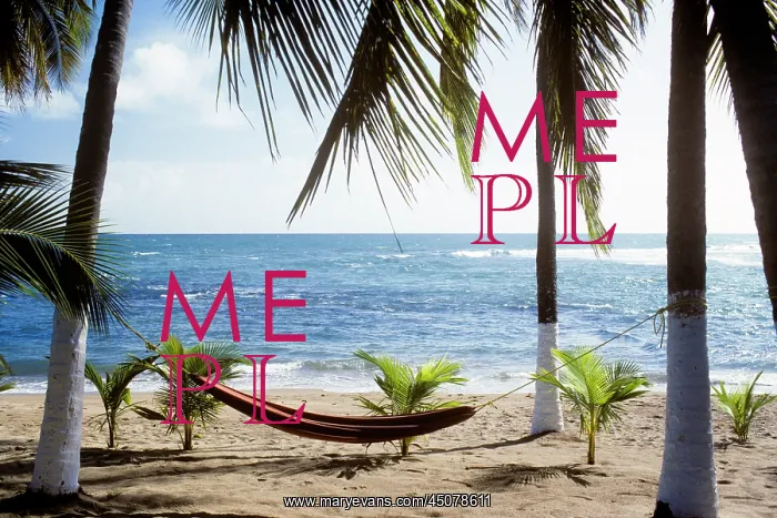 : Caribbean Scenic Hammock and Palms on Beach at : Caribbean Scenic Hammock and Palms on Beach at