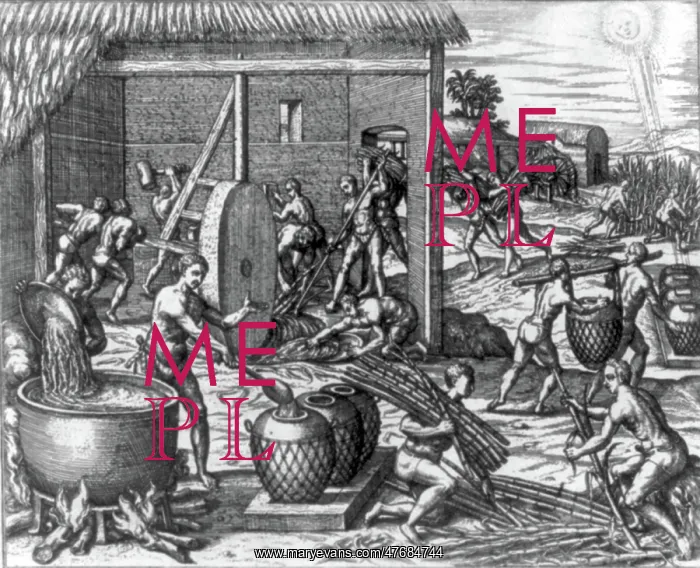 : Caribbean Slave Trade, Slaves Working Sugar Mill : Caribbean Slave Trade, Slaves Working Sugar Mill