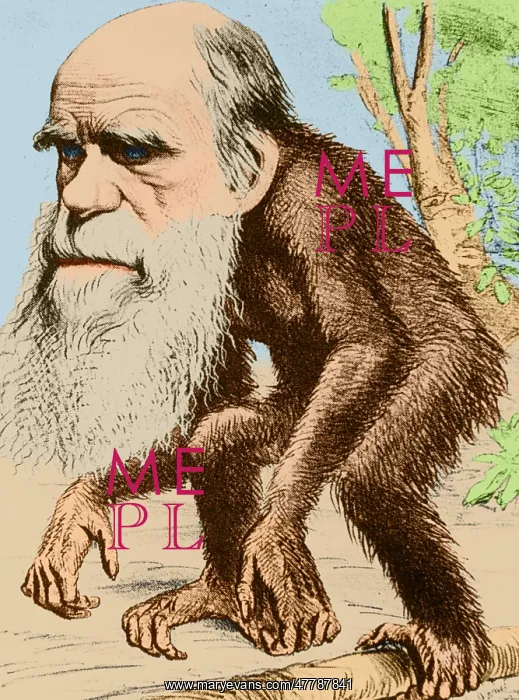 : Caricature of Charles Darwin, 1871 : Caricature of Charles Darwin, 1871