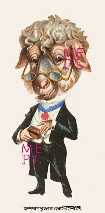 : Caricatured Sheep