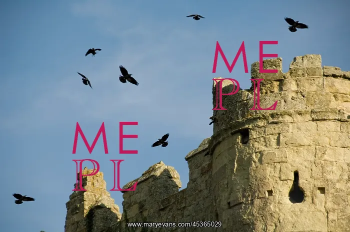 : Carisbrooke Castle : Carisbrooke Castle