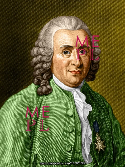 : Carl Linnaeus, Swedish Botanist : Carl Linnaeus, Swedish Botanist