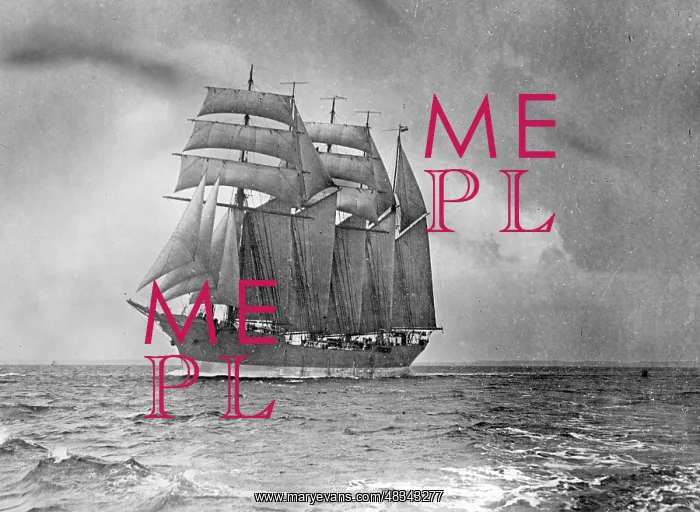 : The Carl Vinnen at sea, ca. 1928 : The Carl Vinnen at sea, ca. 1928