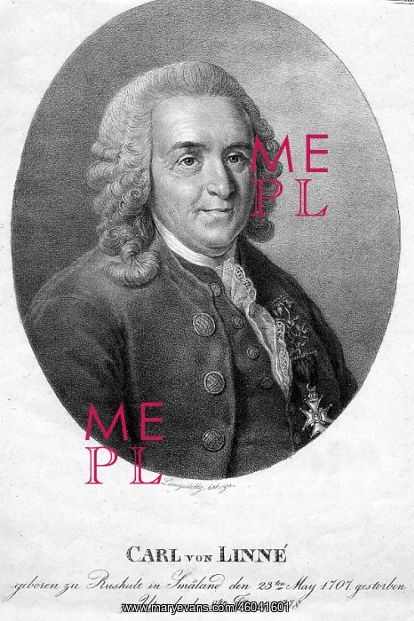: Carl von Linne : Carl von Linne