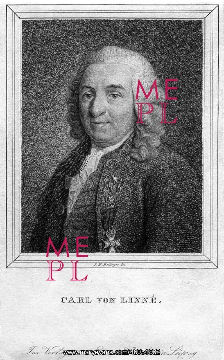  : Carl von Linne