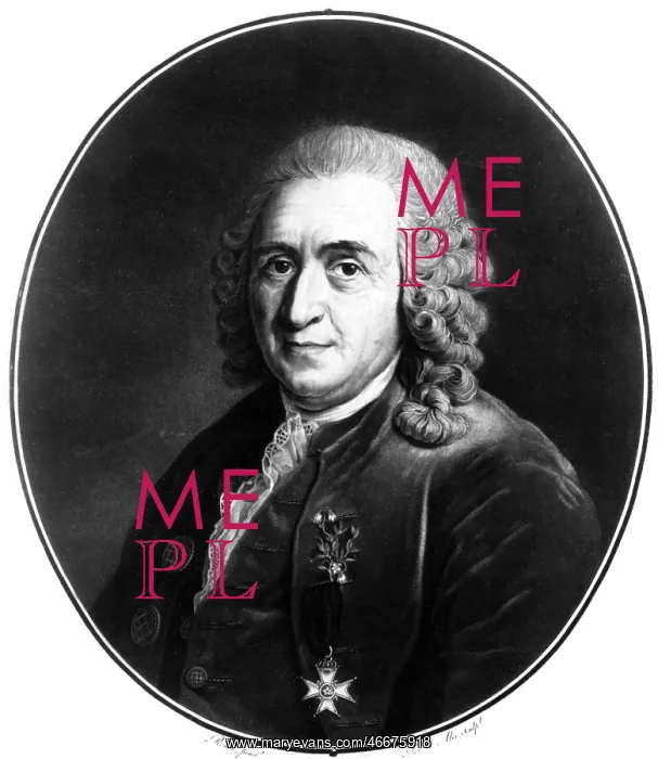 : Carl von Linne : Carl von Linne