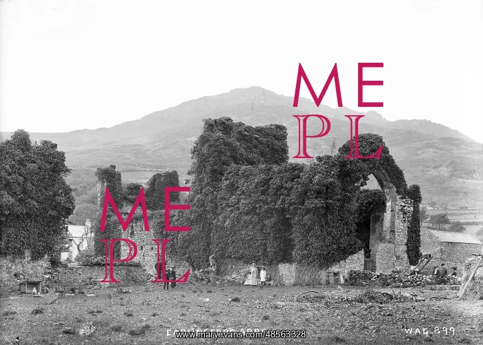 : Carlingford Abbey : Carlingford Abbey