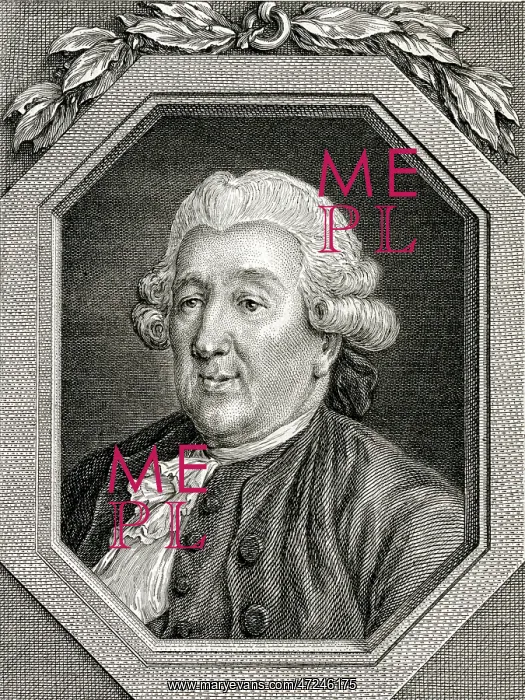 : CARLO GOLDONI : CARLO GOLDONI