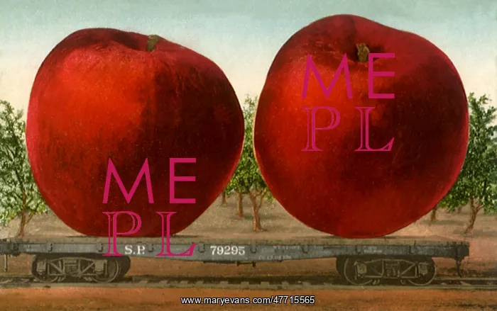  : Carload of Apples