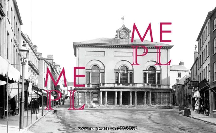  : Carmarthen, the Guildhall 1893