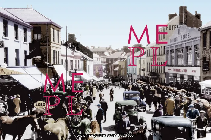  : Carmarthen, the Horse Fair c1940