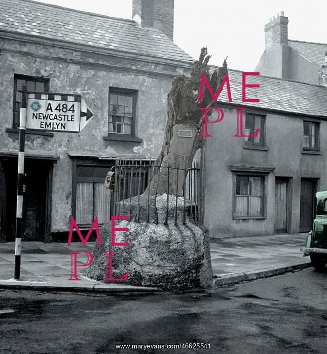  : Carmarthen, the Old Oak 1949