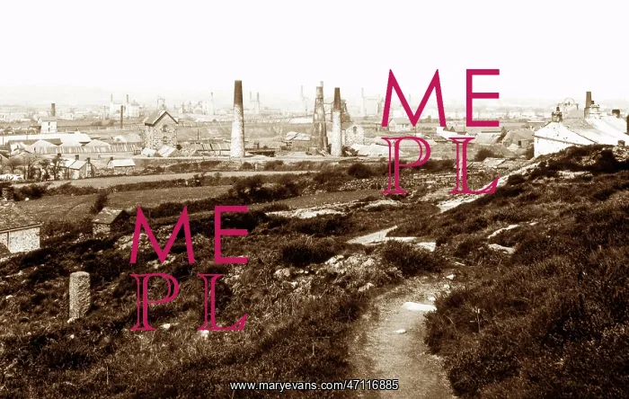  : Carn Brea tin and copper mines, Cornwall