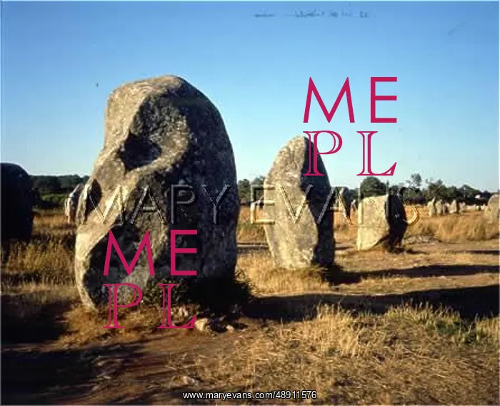 : CARNAC MEGALITHS : CARNAC MEGALITHS