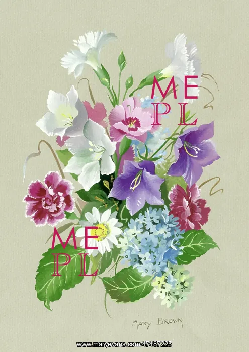  : Carnations, campanula etc