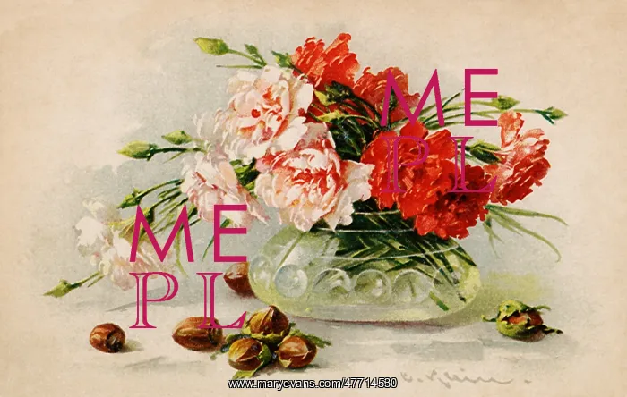 : Carnations and Wood Nuts : Carnations and Wood Nuts