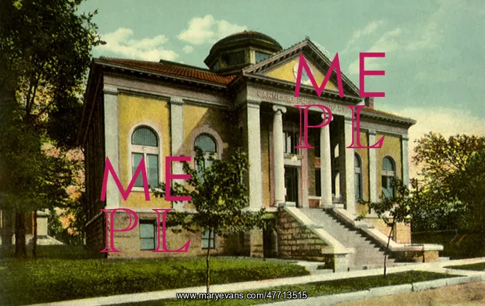  : Carnegie Library. Alliance