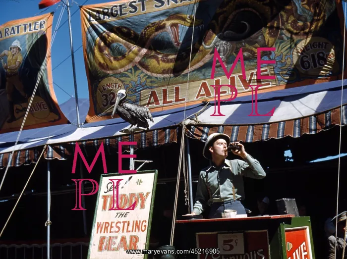: Carnival Barker, at the Vermont state fair, ? : Carnival Barker, at the Vermont state fair, ?