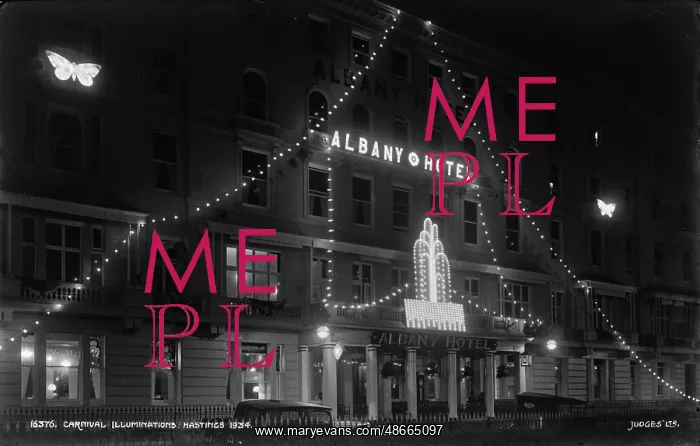 : Carnival Illuminations at Albany Hotel : Carnival Illuminations at Albany Hotel