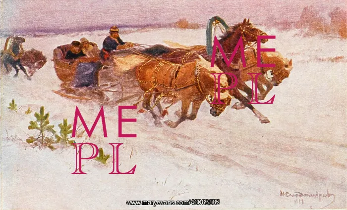 : Carnival sleigh race in Russia : Carnival sleigh race in Russia