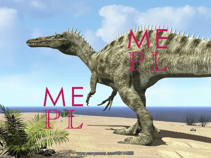 : A carnivorous Suchomimus wanders a beach on the ancient ? : A carnivorous Suchomimus wanders a beach on the ancient ?
