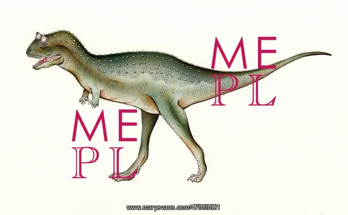 : Carnotaurus : Carnotaurus