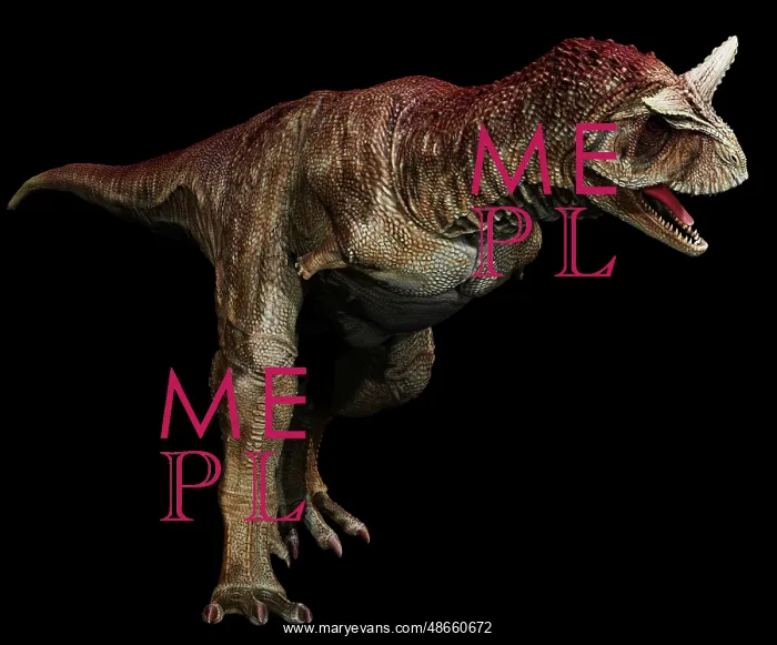 : Carnotaurus dinosaur on black background : Carnotaurus dinosaur on black background