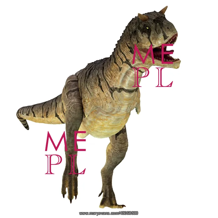 : Carnotaurus dinosaur, front view : Carnotaurus dinosaur, front view