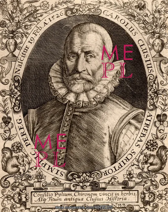 : Carolus Clusius (Charles l'Escluse) (1526-1609) : Carolus Clusius (Charles l'Escluse) (1526-1609)